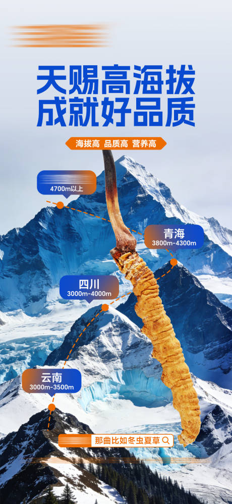 源文件下载【享设计】搜索编号：52930035378237359【虫草宣传海报】