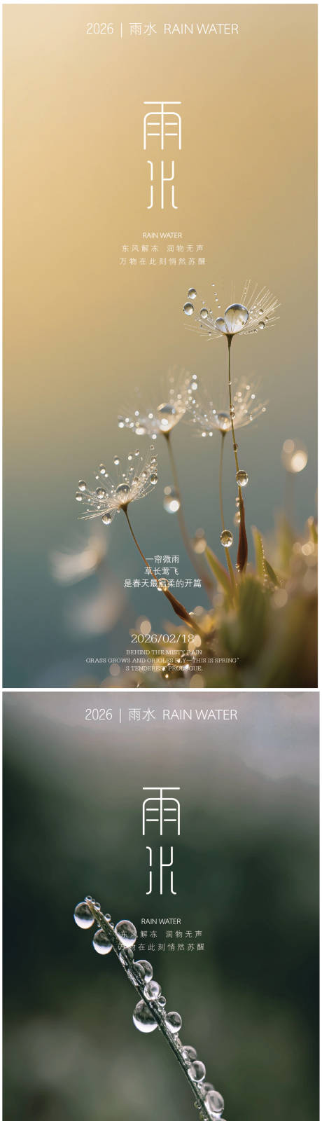 源文件下载【享设计】搜索编号：78570035352991478【雨水节气海报】