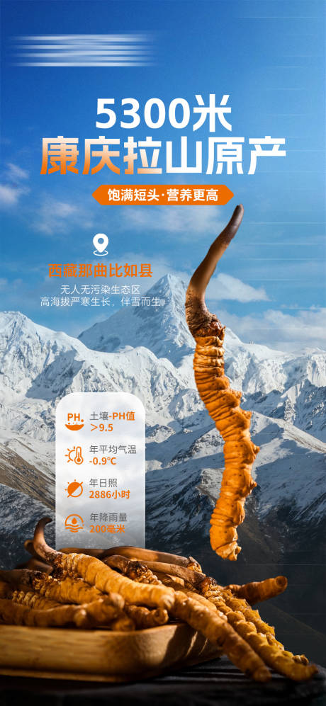 源文件下载【享设计】搜索编号：78710035378241971【冬虫夏草】