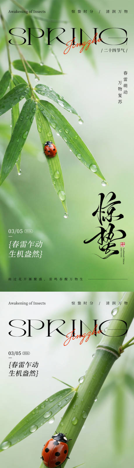 源文件下载【享设计】搜索编号：68800035545283598【惊蛰节气七星瓢虫海报】