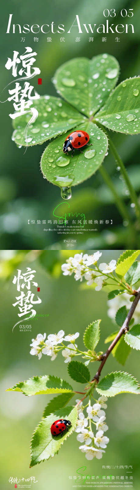 源文件下载【享设计】搜索编号：49850035429014948【绿色写实风格二十四节气惊蛰宣传海报】