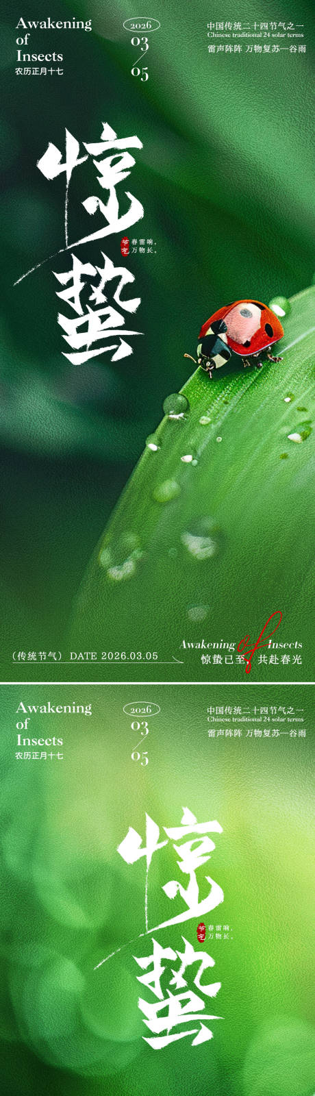 源文件下载【享设计】搜索编号：52390035388603282【惊蛰瓢虫海报】