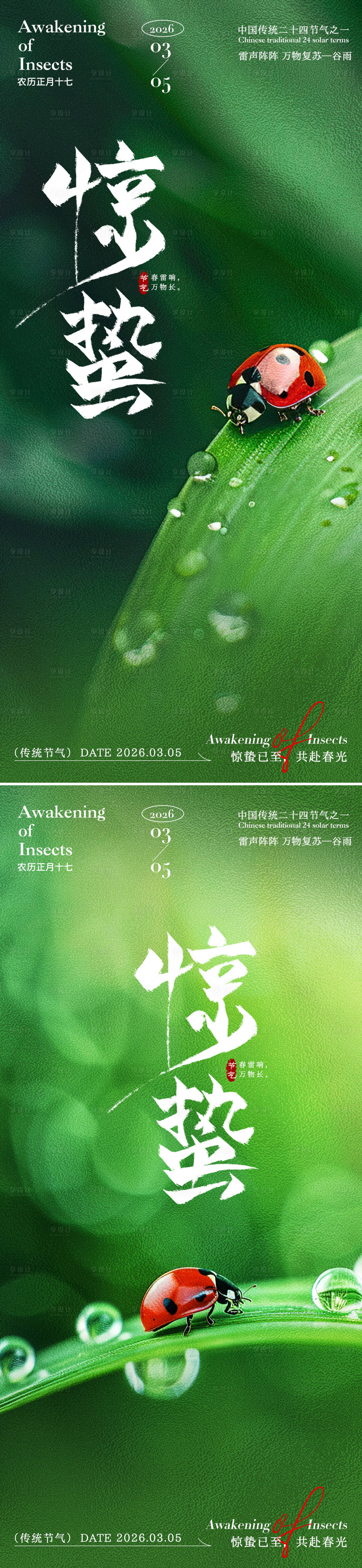 源文件下载【享设计】搜索编号：52390035388603282【惊蛰瓢虫海报】