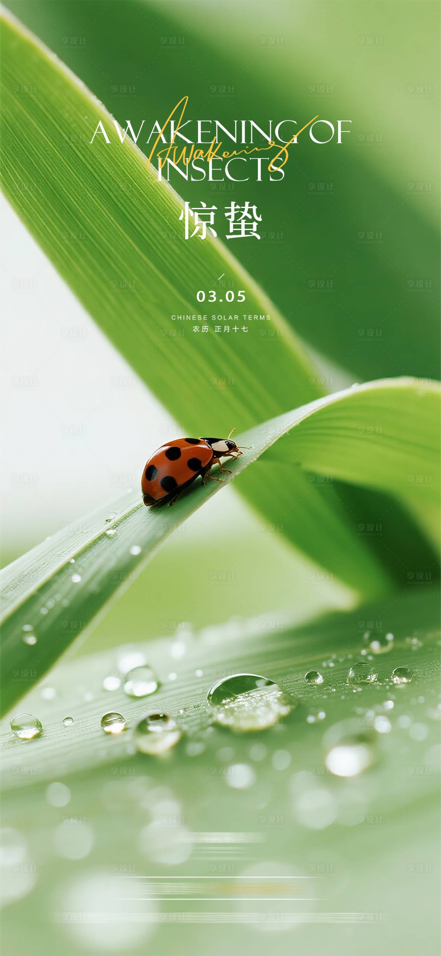 源文件下载【享设计】搜索编号：51730035559512928【惊蛰节气海报】