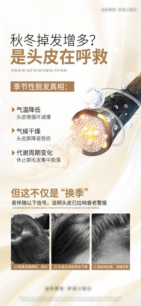 源文件下载【享设计】搜索编号：23970035357897886【头皮科普】