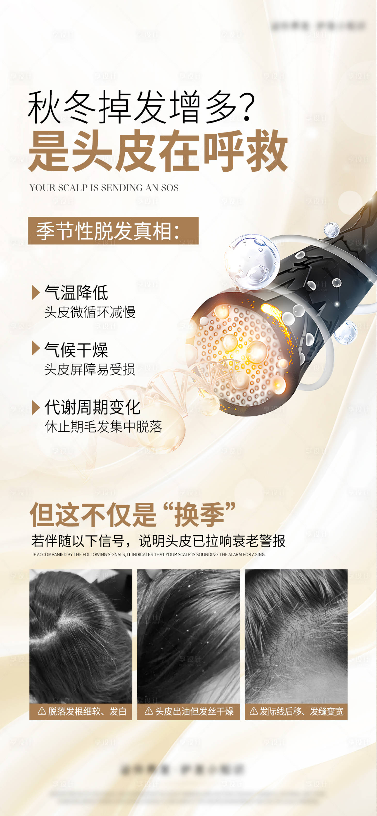 源文件下载【享设计】搜索编号：23970035357897886【头皮科普】