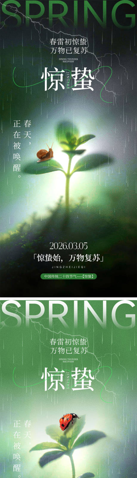 源文件下载【享设计】搜索编号：38940035491579057【惊蛰海报宣传海报】