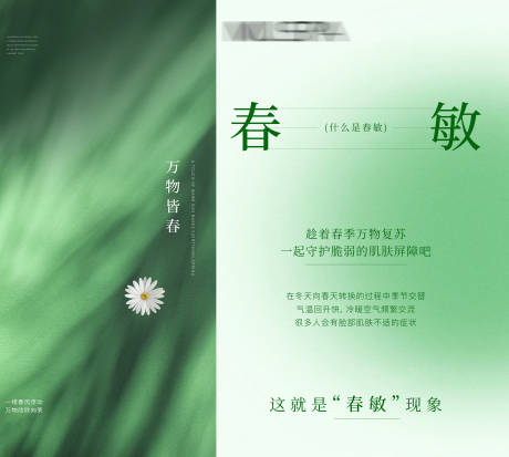 源文件下载【享设计】搜索编号：82280035802688703【美业简约科普绿色唯美海报】