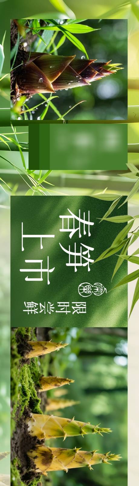 源文件下载【享设计】搜索编号：77620035902451974【春季鲜笋餐饮】