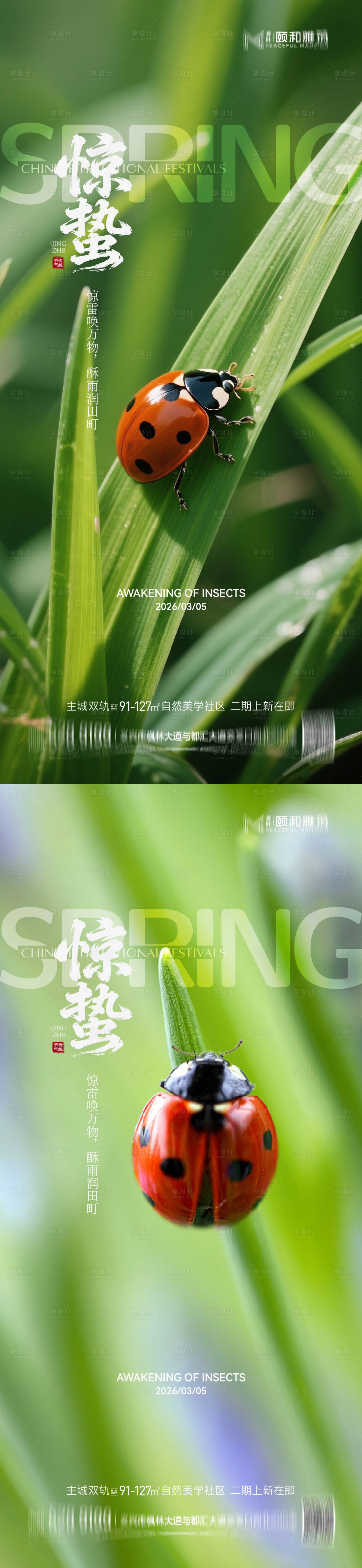 源文件下载【享设计】搜索编号：41430035599938199【惊蛰移动端节气海报】