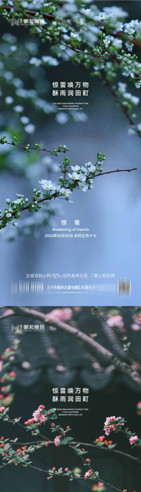 源文件下载【享设计】搜索编号：17100035599764009【惊蛰节气桃花梨花系列海报】