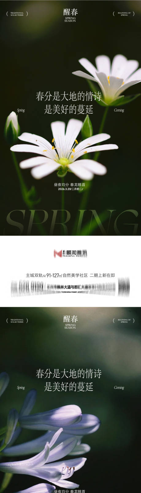源文件下载【享设计】搜索编号：93380035898266505【龙抬头春分节日节气海报春天】