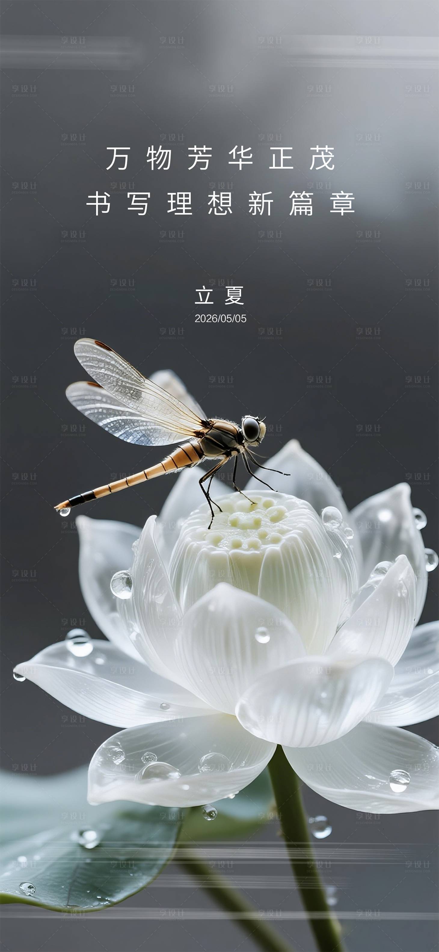 源文件下载【享设计】搜索编号：26840036138425612【立夏质感节气海报】