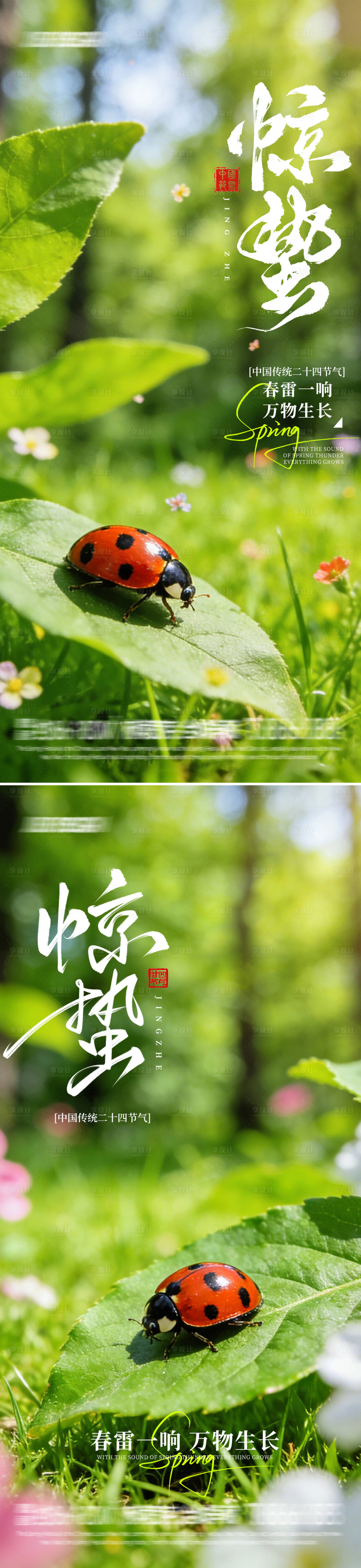 源文件下载【享设计】搜索编号：12350035596829438【惊蛰海报】