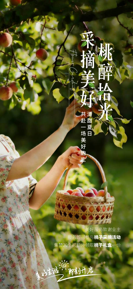 源文件下载【享设计】搜索编号：57950036131316051【桃子采摘海报】