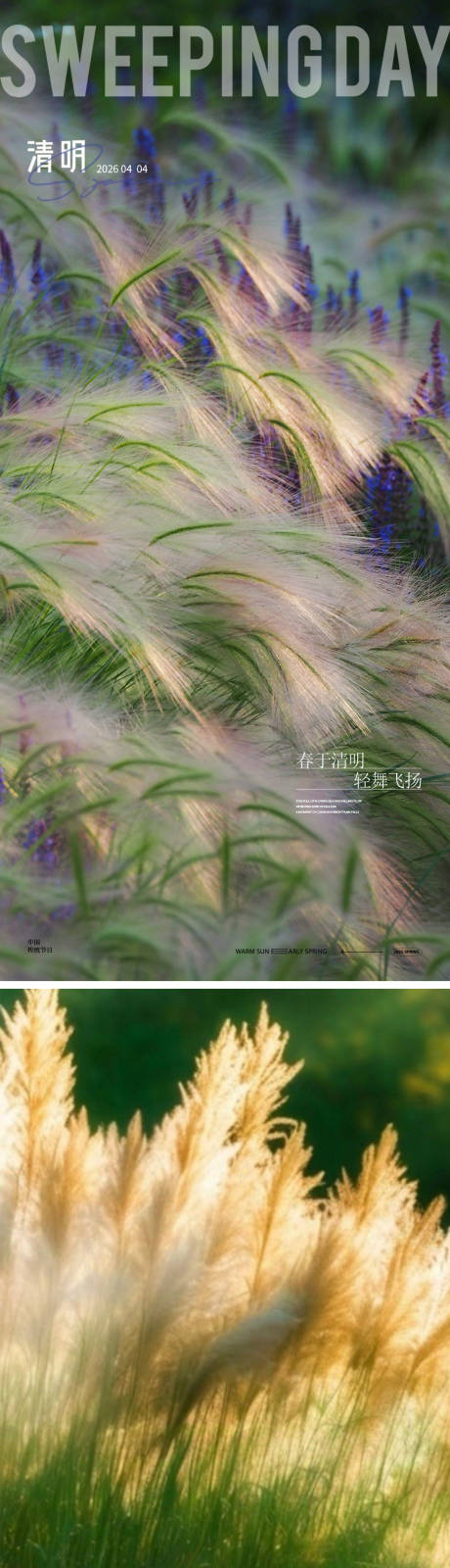 源文件下载【享设计】搜索编号：46810035975555455【清明节海报】