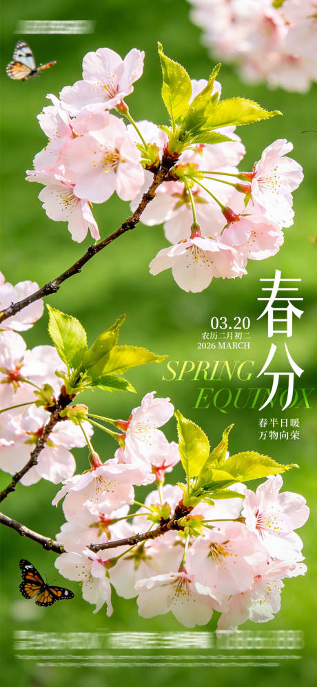 源文件下载【享设计】搜索编号：94770035639783371【春分海报】