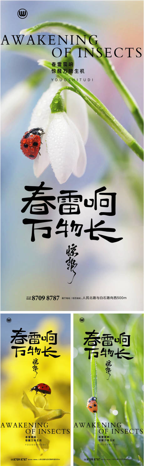 源文件下载【享设计】搜索编号：31150035732209512【惊蛰朋友圈单图海报二十四节气】