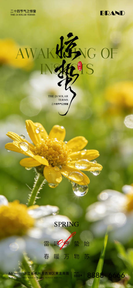 源文件下载【享设计】搜索编号：36700035638528776【惊蛰节气海报】