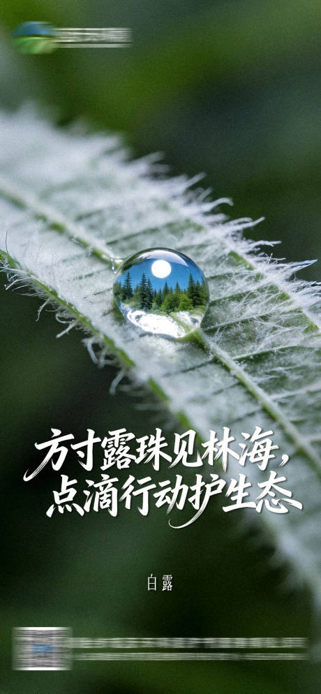 源文件下载【享设计】搜索编号：21710036072556036【白露节气海报】
