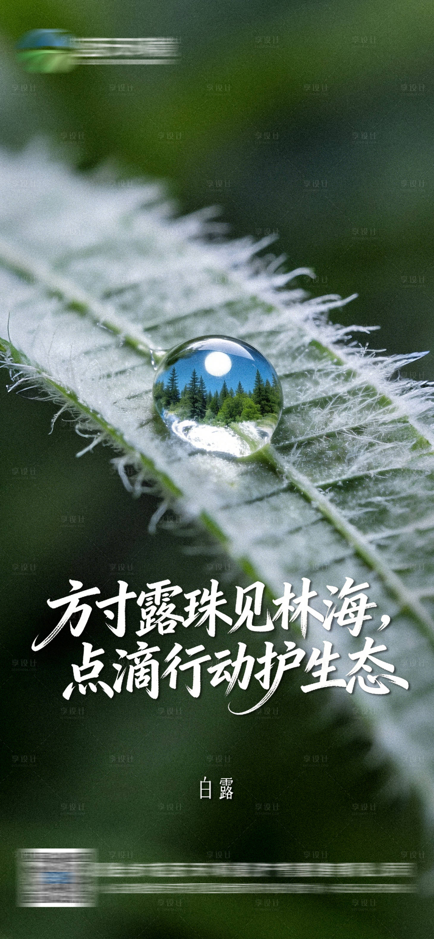 源文件下载【享设计】搜索编号：21710036072556036【白露节气海报】