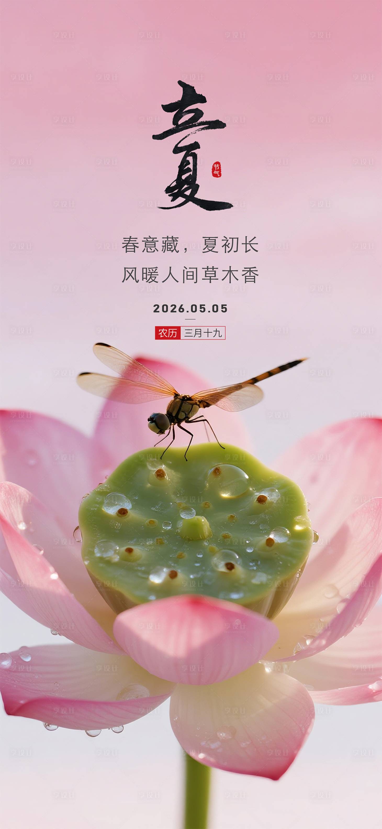 源文件下载【享设计】搜索编号：64060036138447542【立夏质感节气海报】