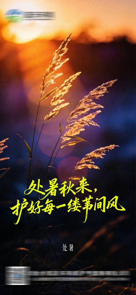 源文件下载【享设计】搜索编号：69210036060005662【处暑 】