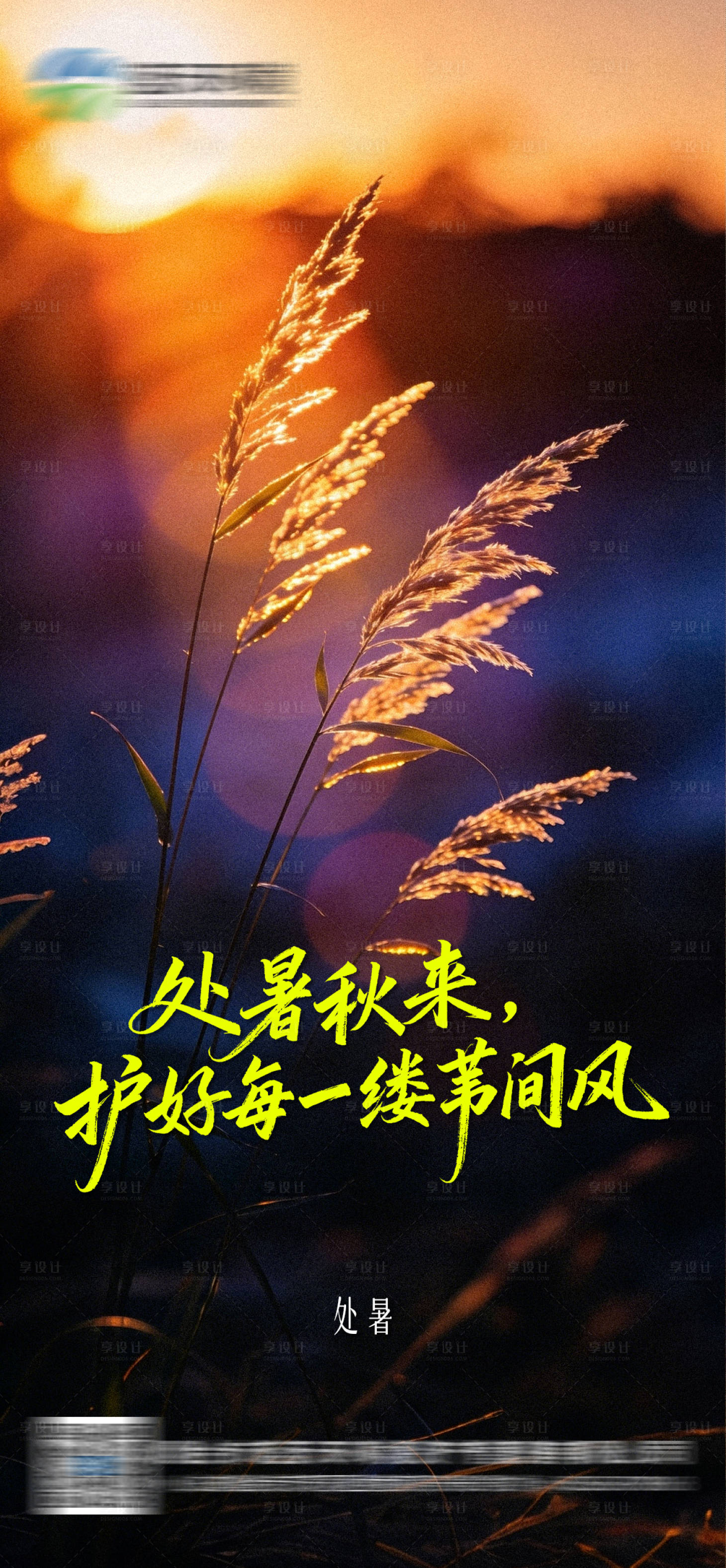 源文件下载【享设计】搜索编号：69210036060005662【处暑 】