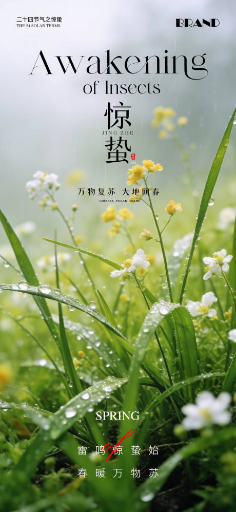 源文件下载【享设计】搜索编号：33570035598108523【惊蛰节气海报】