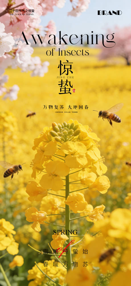 源文件下载【享设计】搜索编号：10980035651341296【惊蛰节气海报】