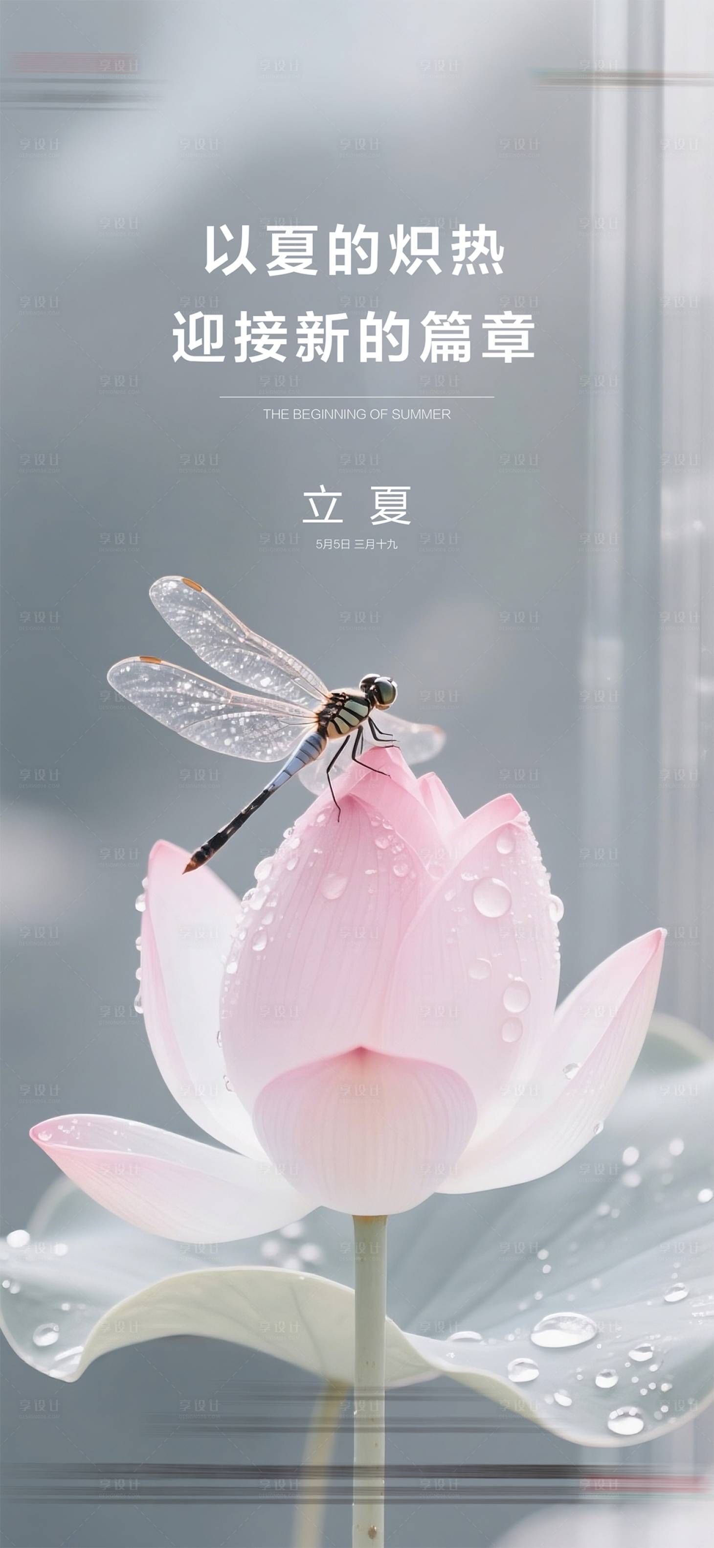 源文件下载【享设计】搜索编号：75730036123703870【立夏质感节气海报】