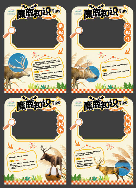 源文件下载【享设计】搜索编号：13790035880643814【湿地美陈打卡堆头展板】