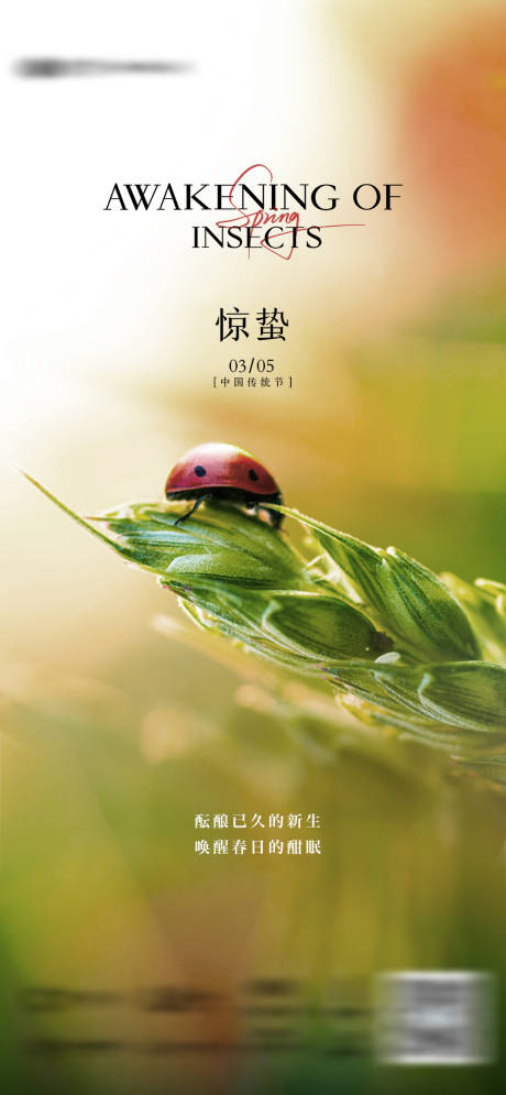 源文件下载【享设计】搜索编号：21350035634326374【地产惊蛰春天春分海报】