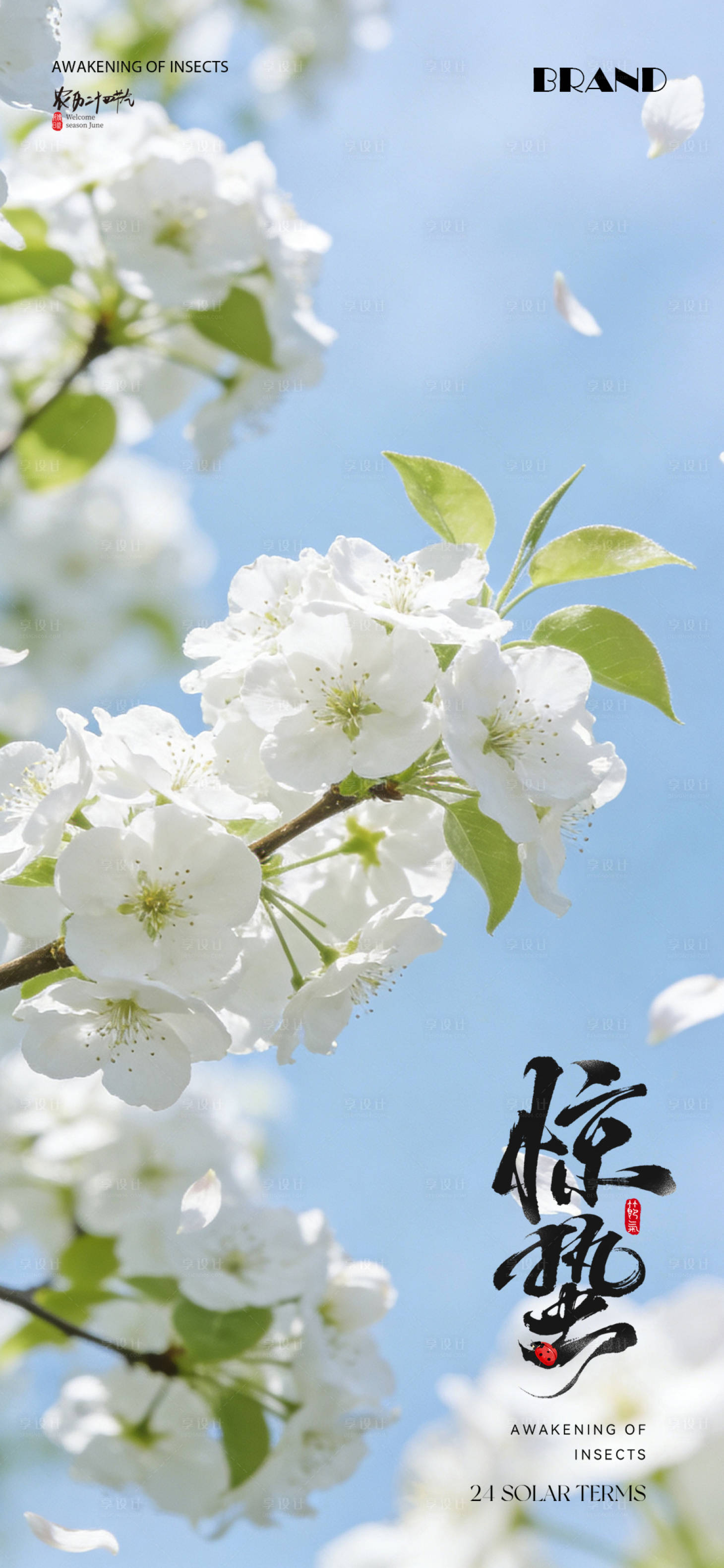 源文件下载【享设计】搜索编号：65040035650532122【惊蛰节气海报】