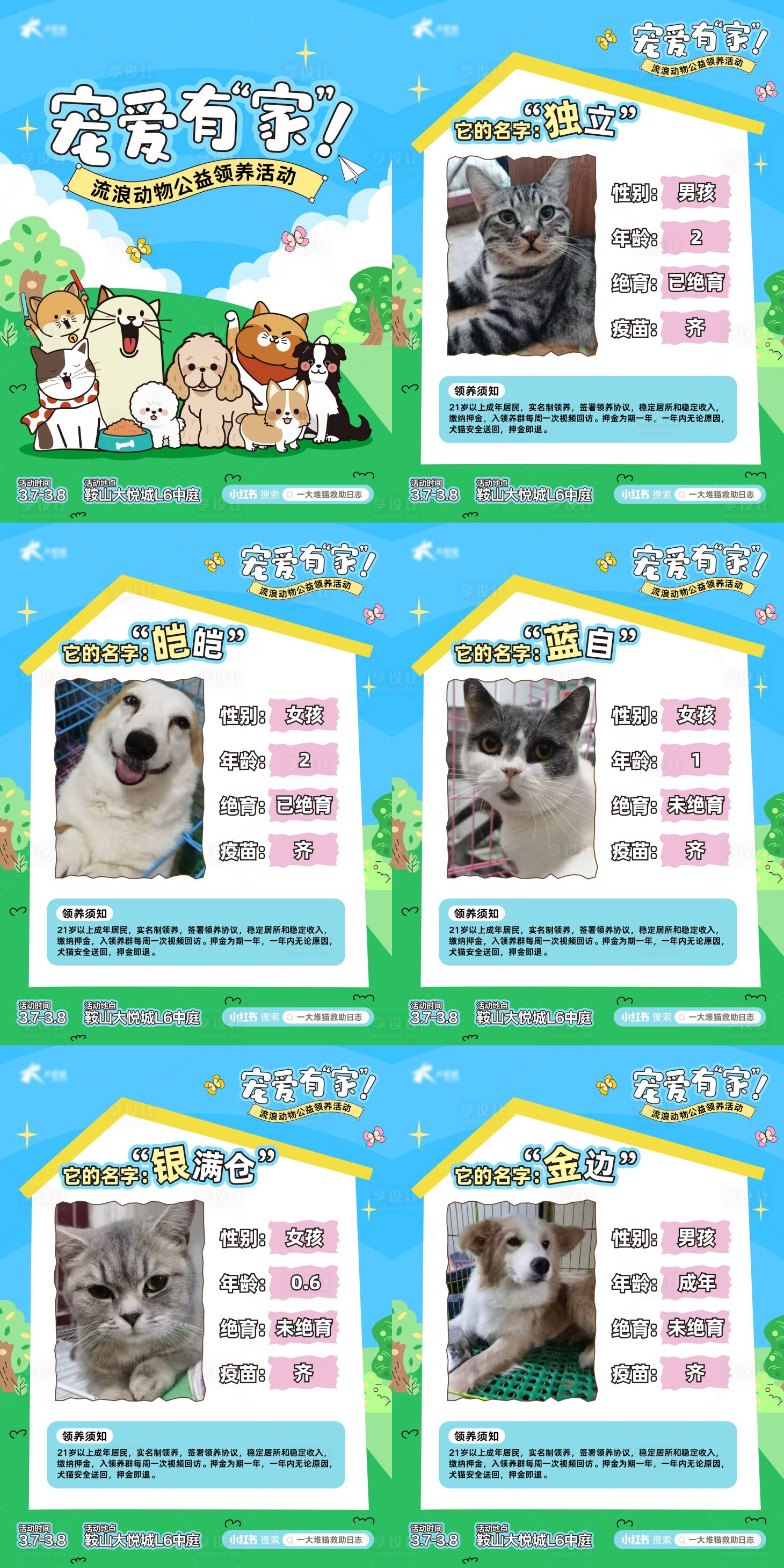 源文件下载【享设计】搜索编号：10410035877712675【商业购物中心公益宠物领养活动海报】