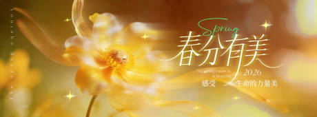 源文件下载【享设计】搜索编号：16700035708979637【春分有美花朵背景板】