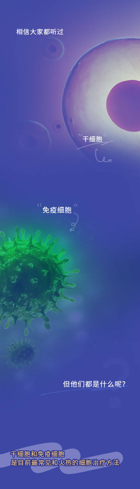 源文件下载【享设计】搜索编号：50360036011983149【医疗大健康干细胞科普知识长图专题设计】
