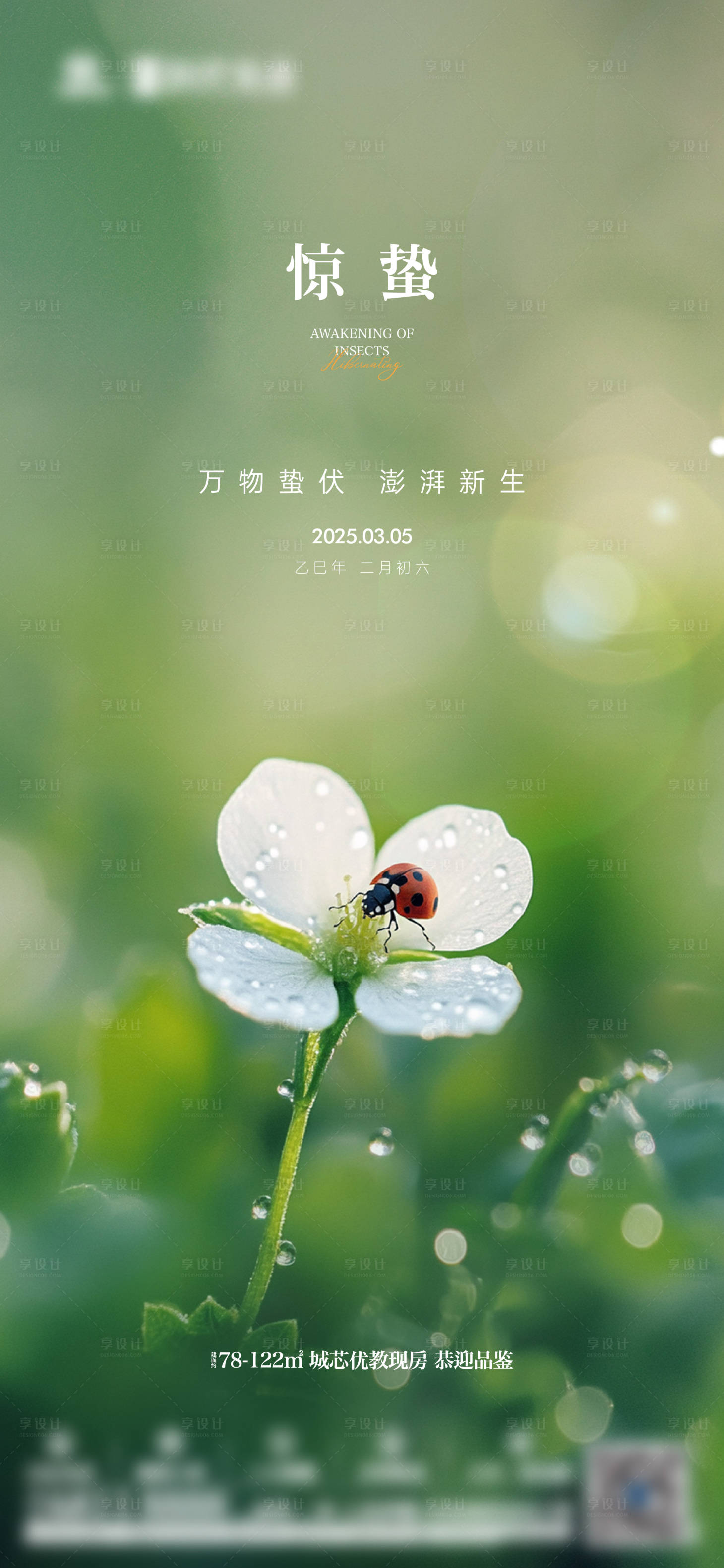 源文件下载【享设计】搜索编号：38040035651618632【惊蛰节气单图】