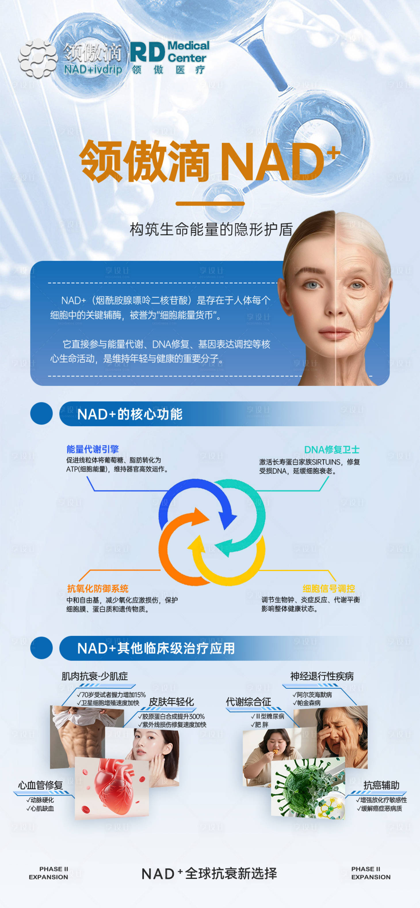 源文件下载【享设计】搜索编号：91080035722145551【科普海报】