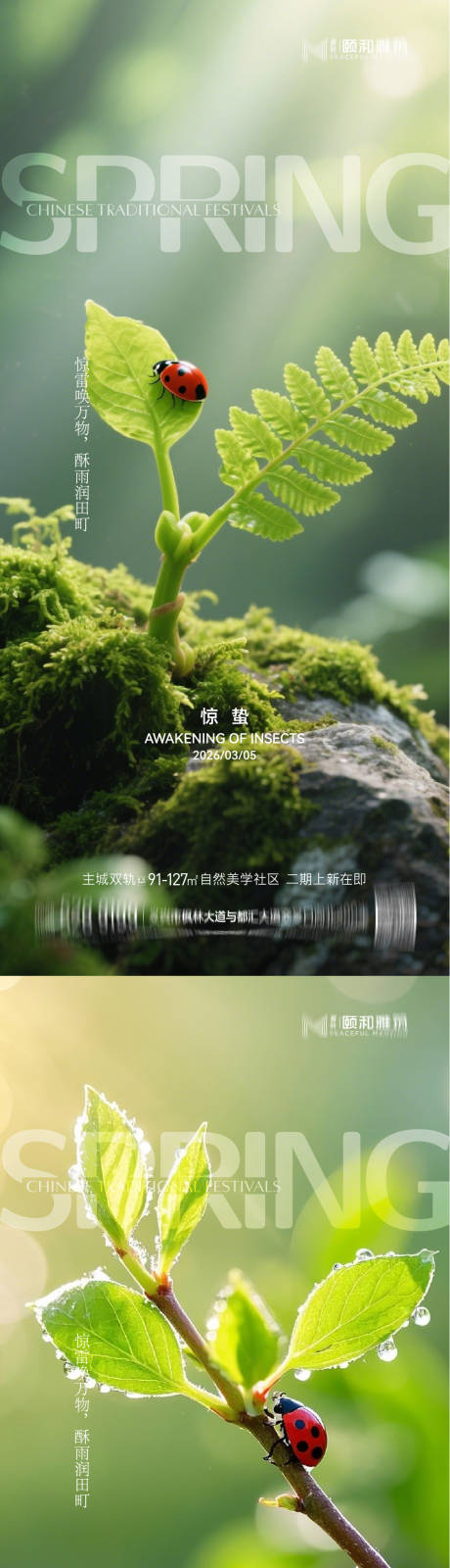 源文件下载【享设计】搜索编号：25340035599923501【2026惊蛰节气海报桃花梨花】