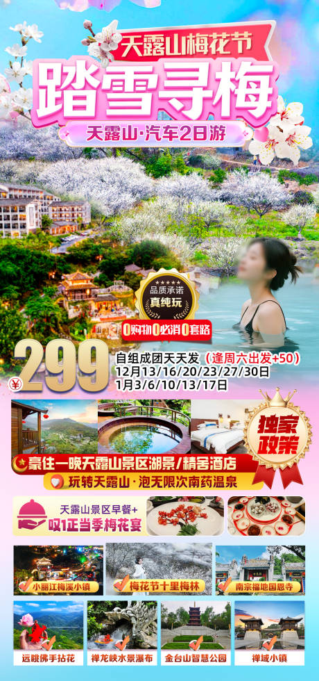 源文件下载【享设计】搜索编号：19270036127734896【天露山梅花节旅游海报】