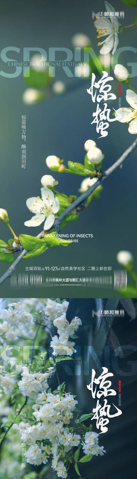 源文件下载【享设计】搜索编号：50260035599947609【2026惊蛰节气海报桃花梨花】