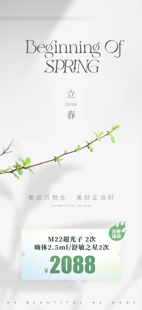 源文件下载【享设计】搜索编号：56430035838065468【医美美业活动卡项价格24节气立春海报】
