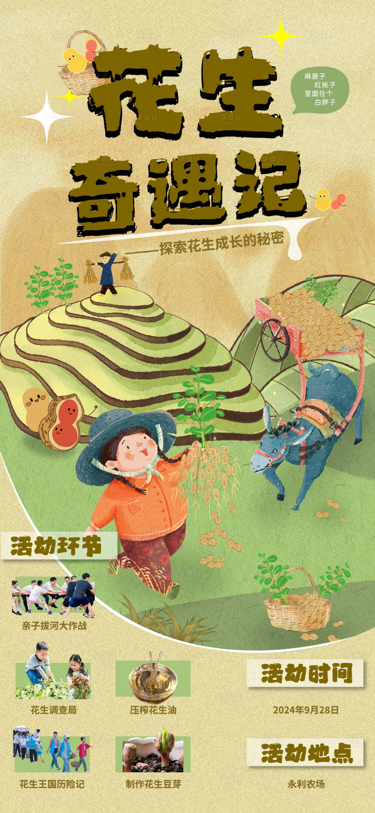 源文件下载【享设计】搜索编号：35970036027131414【花生采摘活动海报】