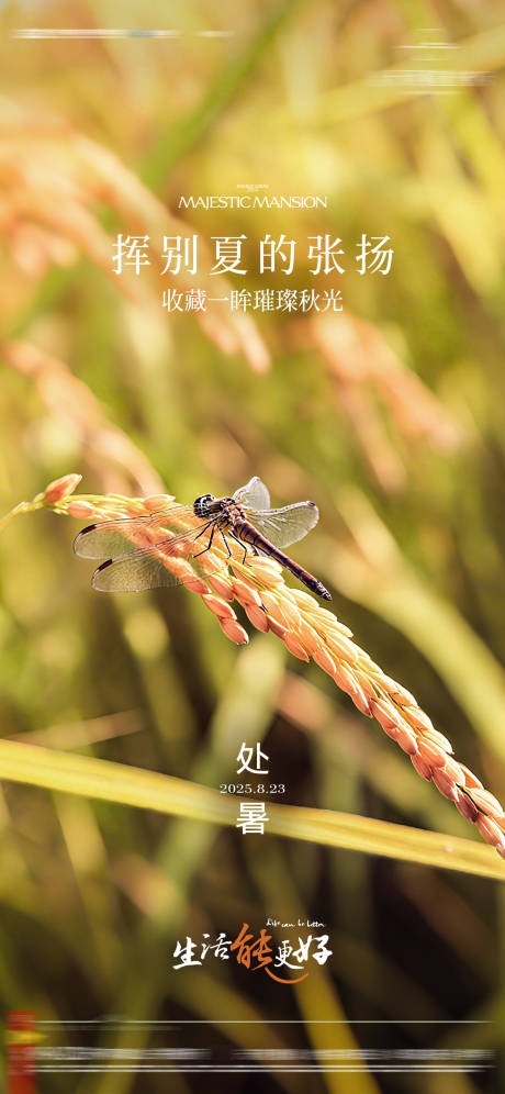 源文件下载【享设计】搜索编号：58010036120813579【处暑节气海报】
