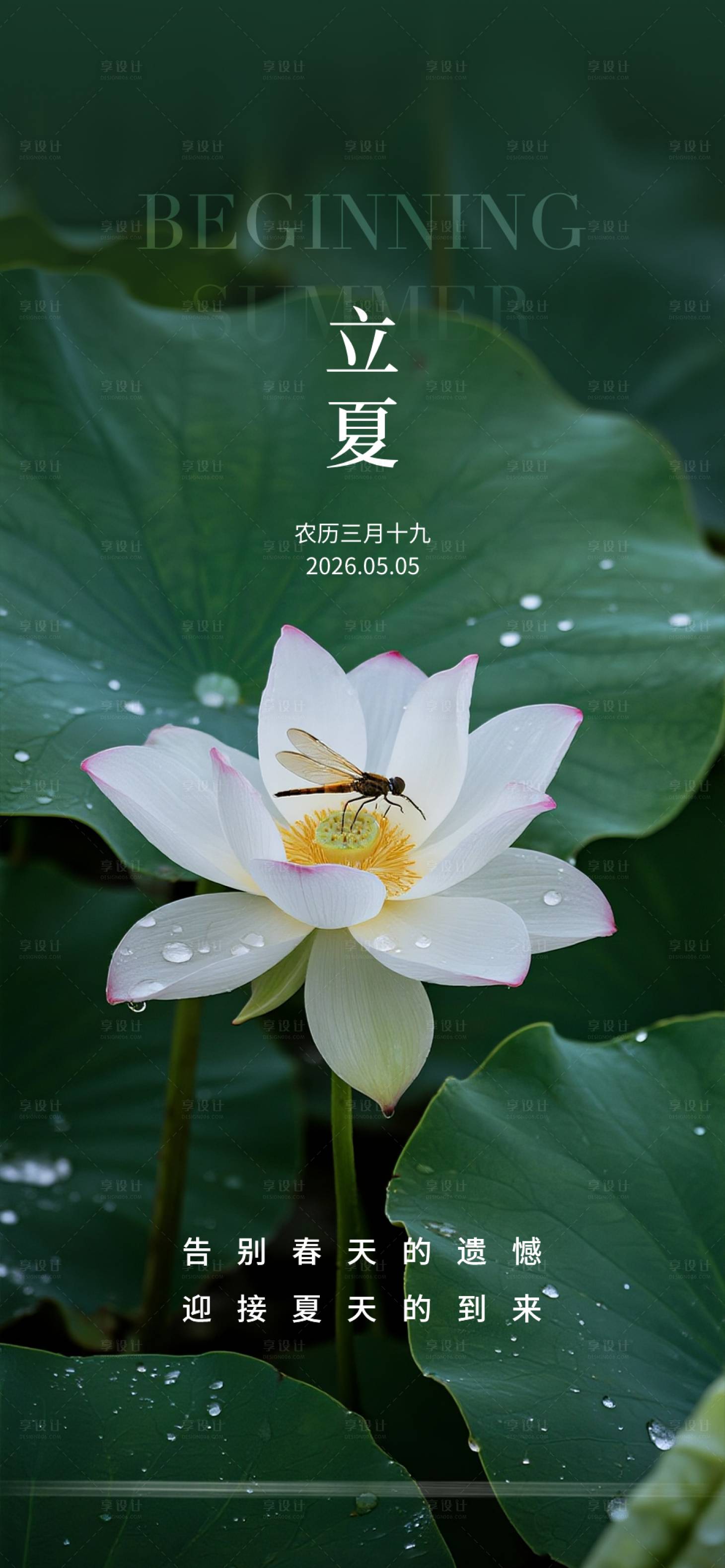 源文件下载【享设计】搜索编号：91340036079228275【地产立夏节气海报】
