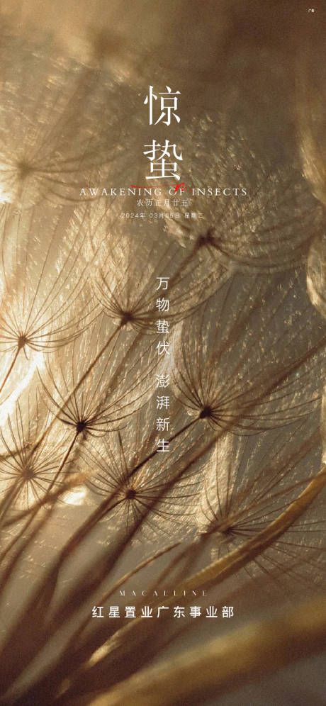 源文件下载【享设计】搜索编号：72820035596229524【地产惊蛰节气海报】