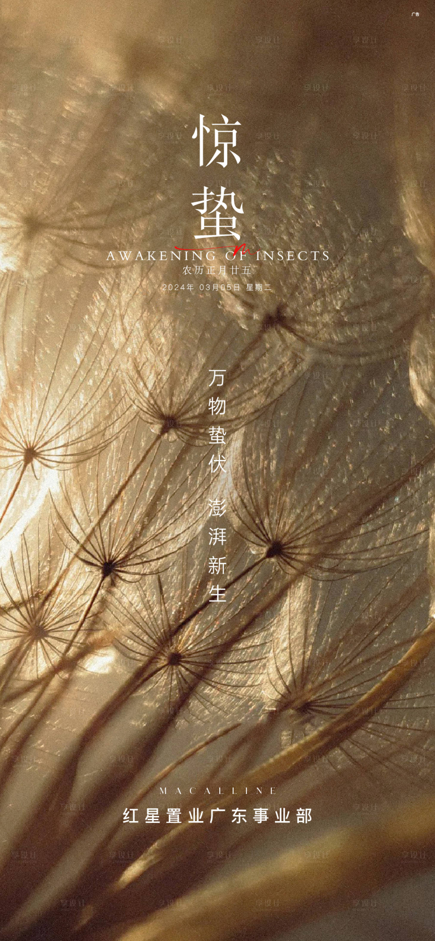 源文件下载【享设计】搜索编号：72820035596229524【地产惊蛰节气海报】