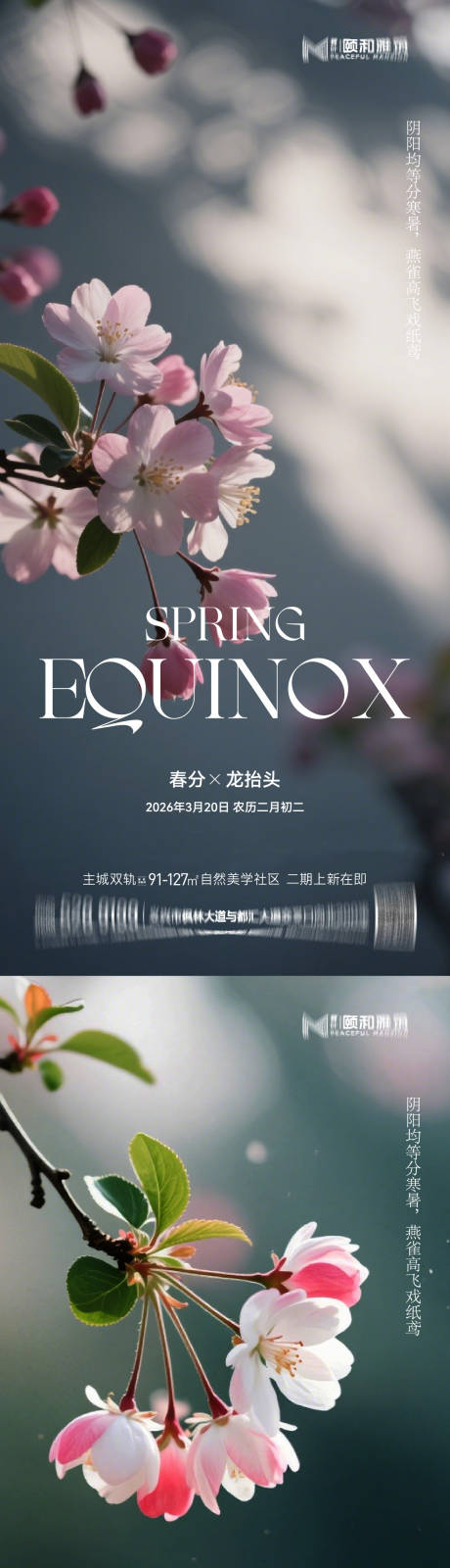 源文件下载【享设计】搜索编号：51870035898474658【龙抬头春分海报】