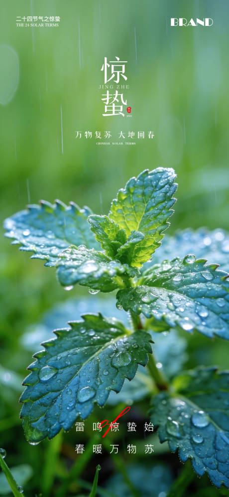 源文件下载【享设计】搜索编号：54020035638451855【惊蛰节气海报】